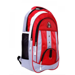 Alluring Men Backpacks